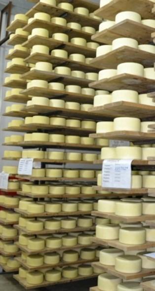 Per il minicaseificio speranze di apertura Quattro candidature 