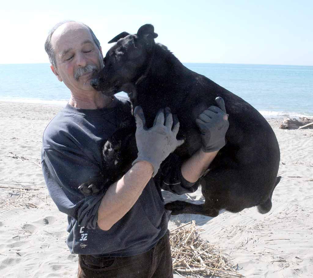 Il cane Bella