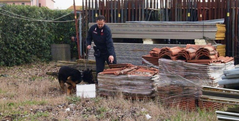 La droga era nascosta in un divano 
