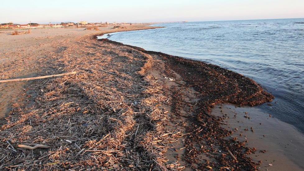 Rischio lavarone a Pasqua I balneari litigano tra loro