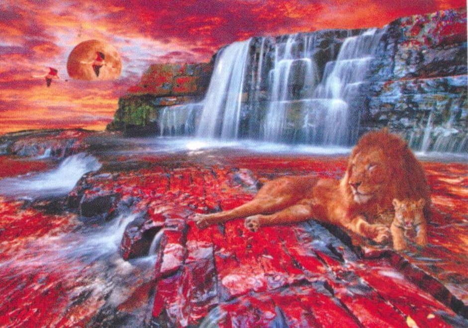 In mostra composizioni digitali per immagini sorprendenti