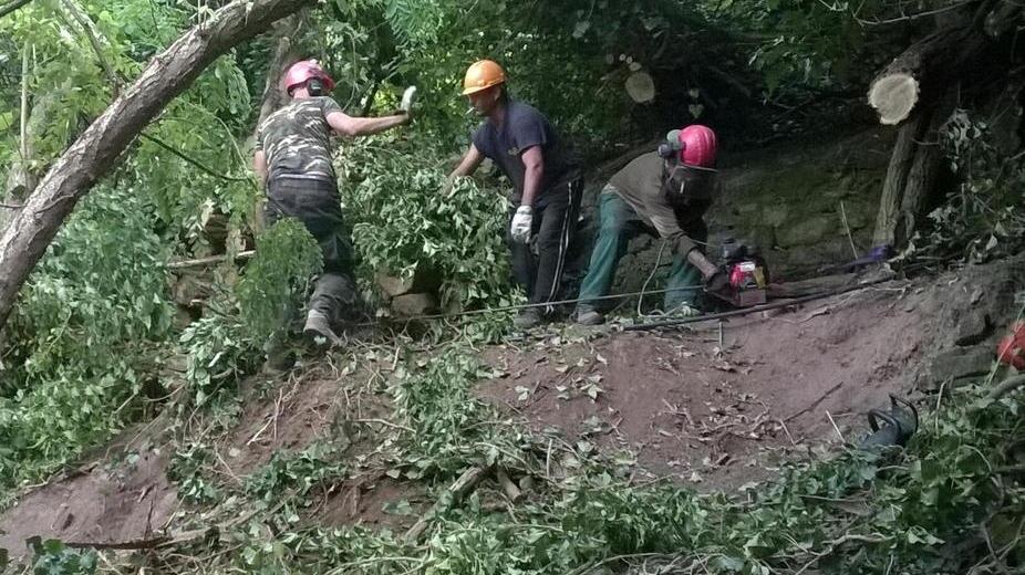 Operai forestali: un milione per i salari ma ancora non basta