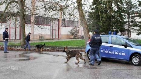 Arrivano i cani, fuggi-fuggi tra gli studenti