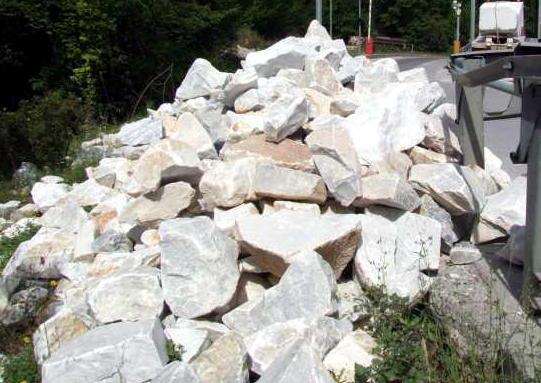 Un colosso per il business delle scaglie