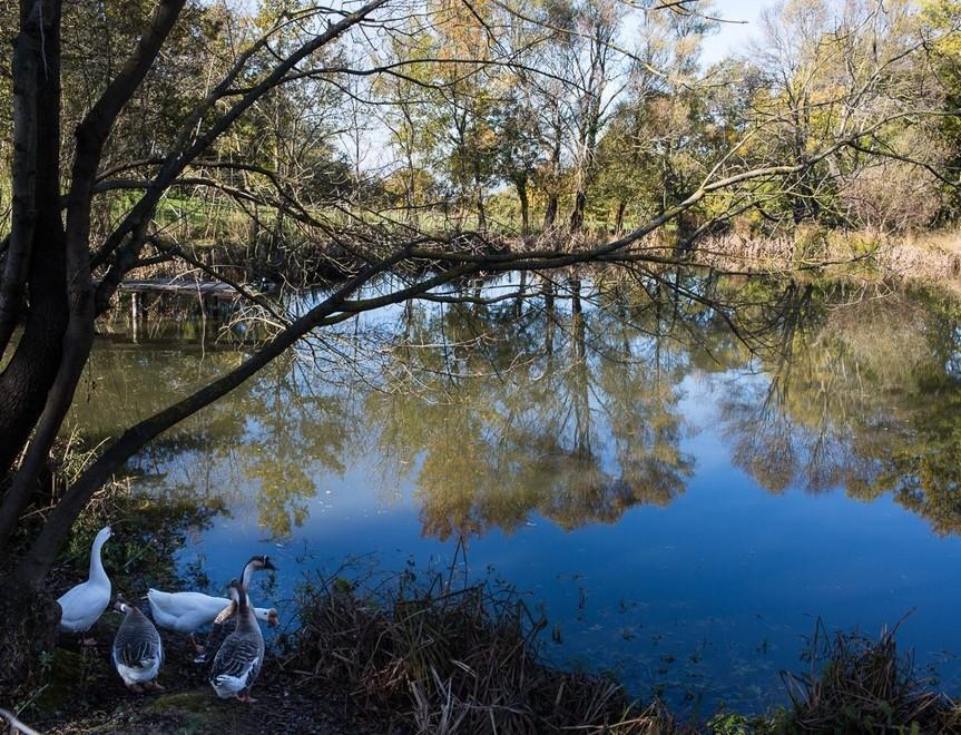 Padania addio, vado in Maremma e investo nel bio-podere solidale 
