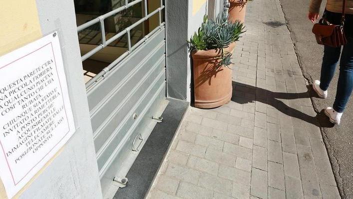 Gli rubano la fioriera e rivolge un invito al ladro