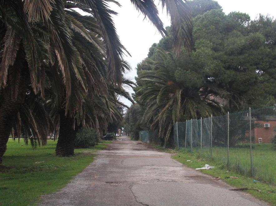 Uno storico idrovolante arriverà dal Brasile 