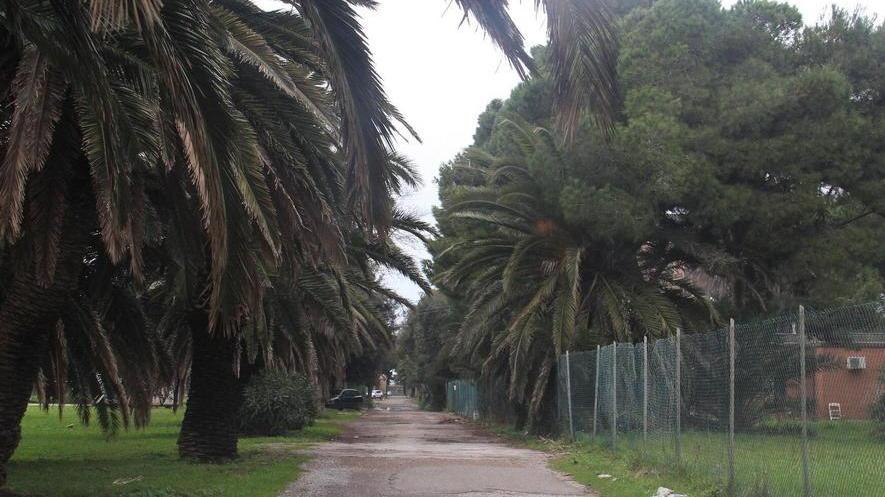 Uno storico idrovolante arriverà dal Brasile