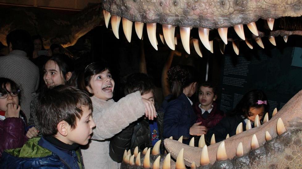 Bittirex, i dinosauri visti da vicino