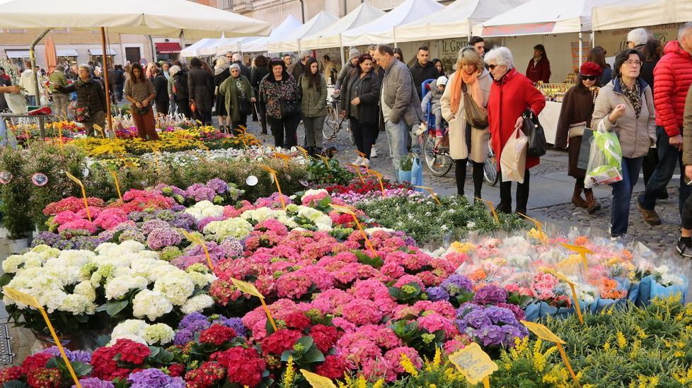Chiude oggi “Modena in Fiore”