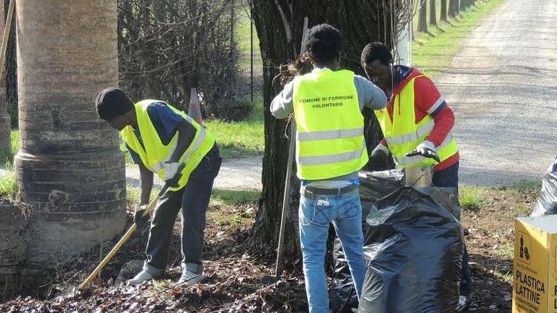 I profughi puliscono le aree verdi