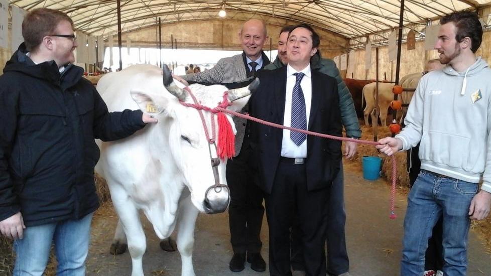 Centinaia di visitatori all’antica fiera di San Giuseppe