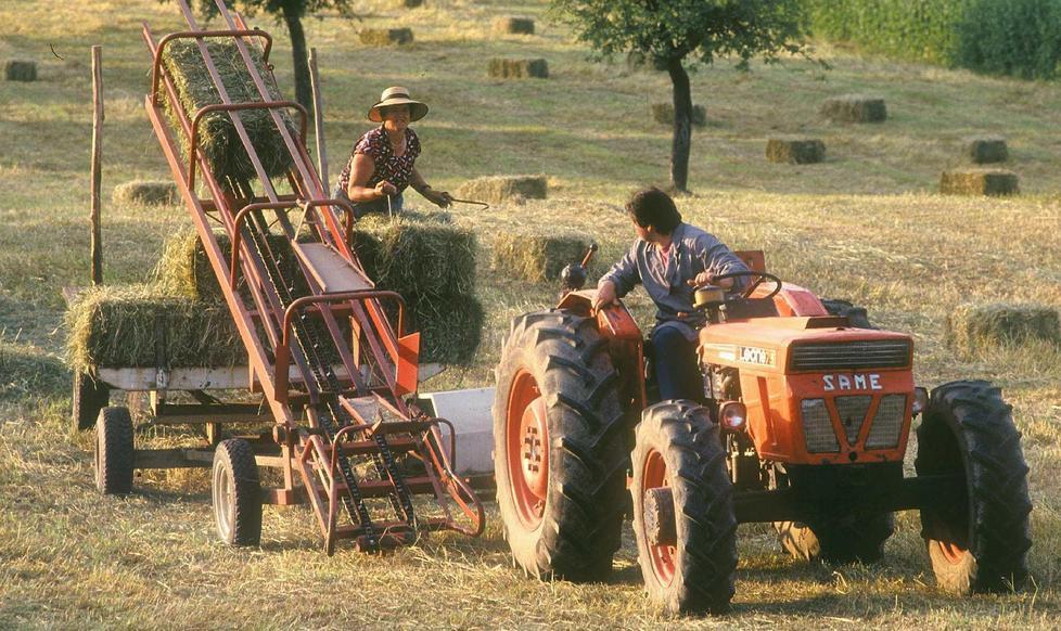 Lavoratori agricoli come chiedere la disoccupazione 