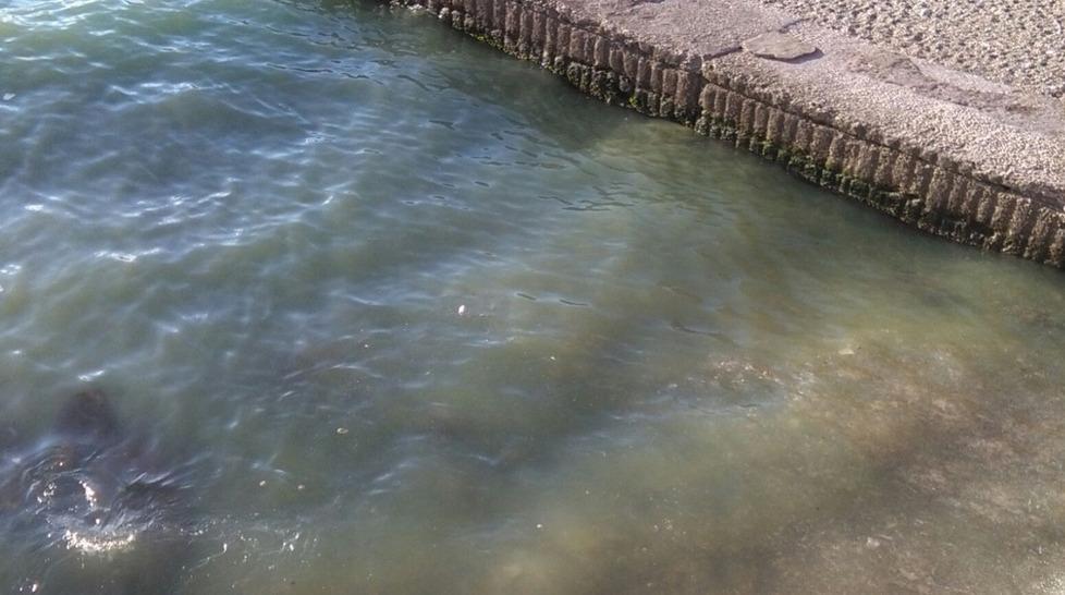 Liquami in mare per tre giorni di fronte ai bastioni