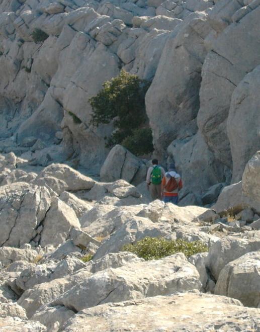 Oggi incontro del Gal Nuorese sul piano di sviluppo rurale