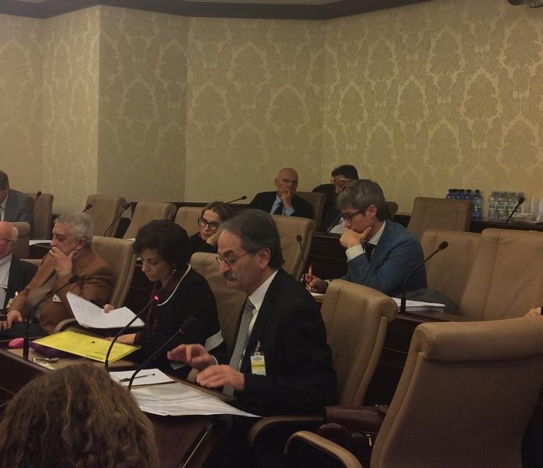 Sabina Contu e Mario Murgia dell'Aiea durante l'audizione al Senato