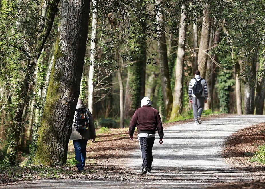 Sparito da 4 giorni, resta il mistero 
