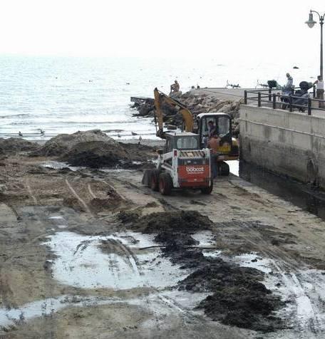 Un pennello emerso alla foce del Petraia 