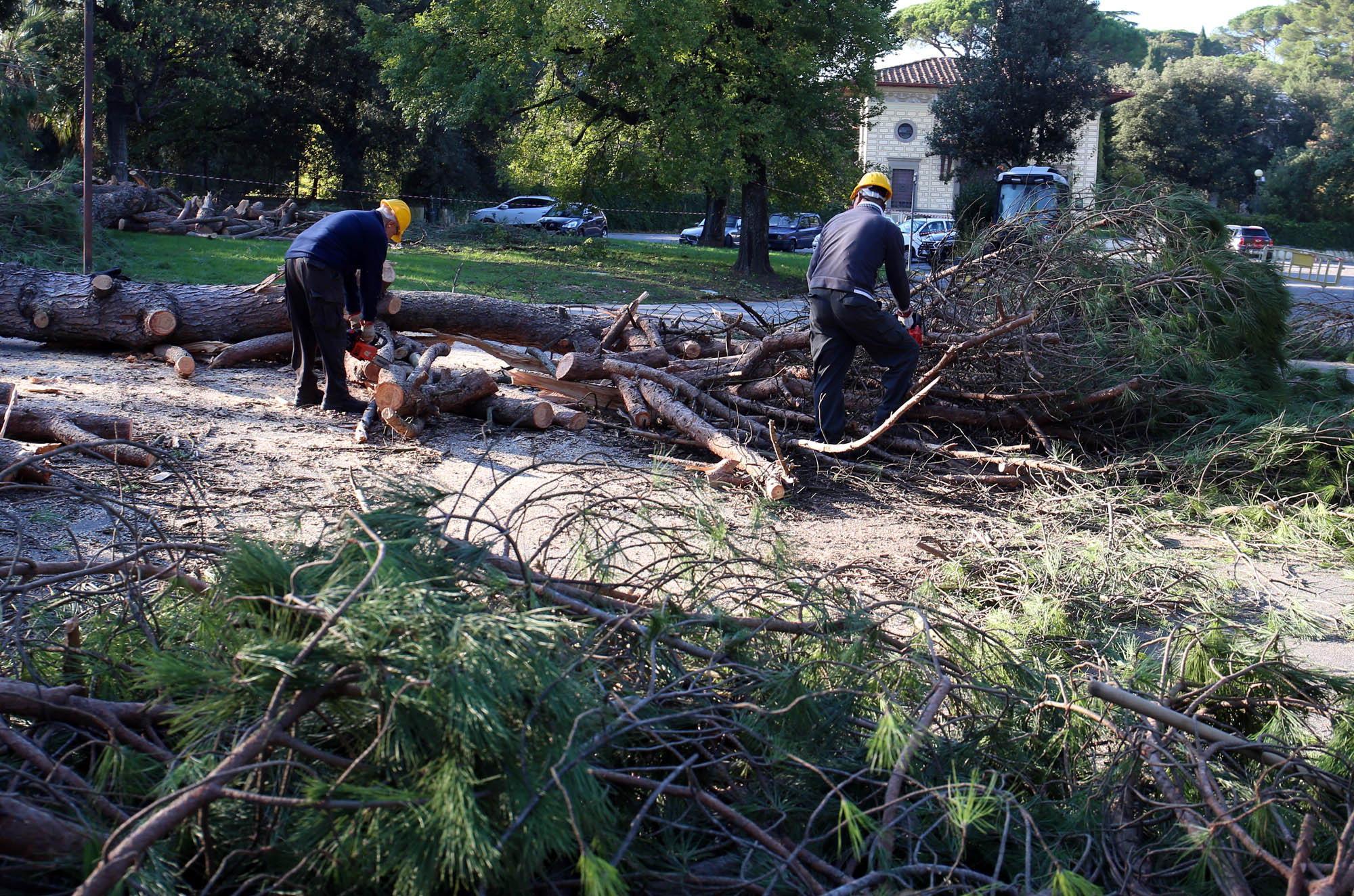 Addetti allla forestazione al lavoro (Foto d'archivio)