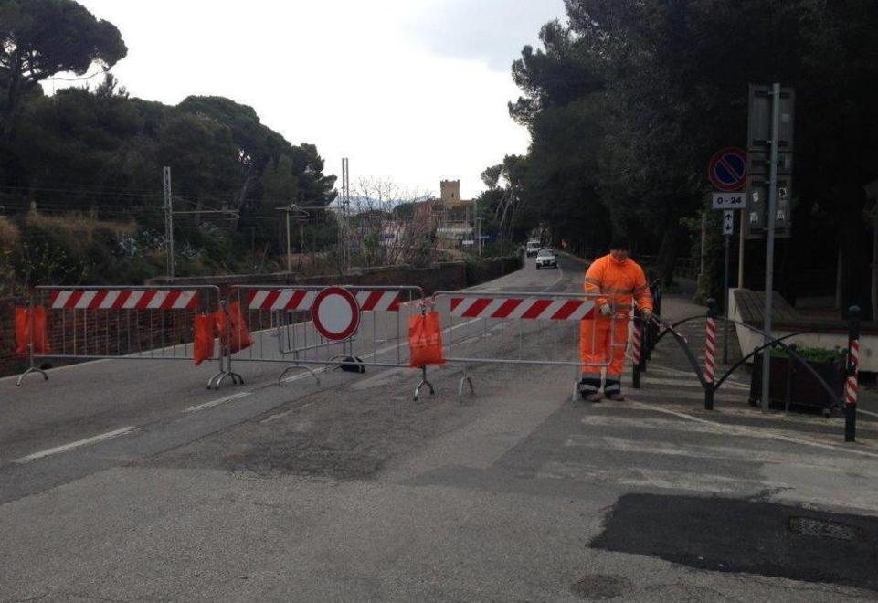 Pini pericolanti, chiusa la via Aurelia 