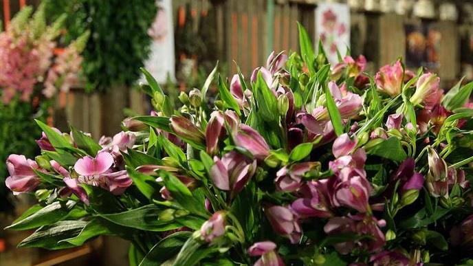 Cerimonie comunali per i fiori il Comune stanzia 2.600 euro