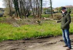 Massa, abbattuti alberi in zona protetta dalla Soprintendenza, la denuncia di Italia Nostra