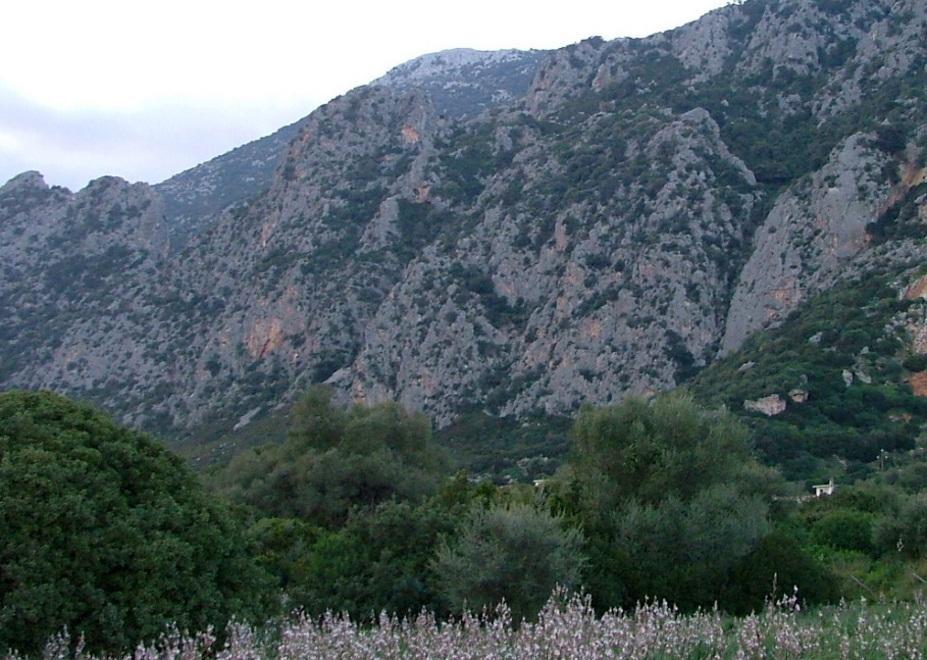 Montalbo, il sindaco lancia un appello per fare il Consorzio 