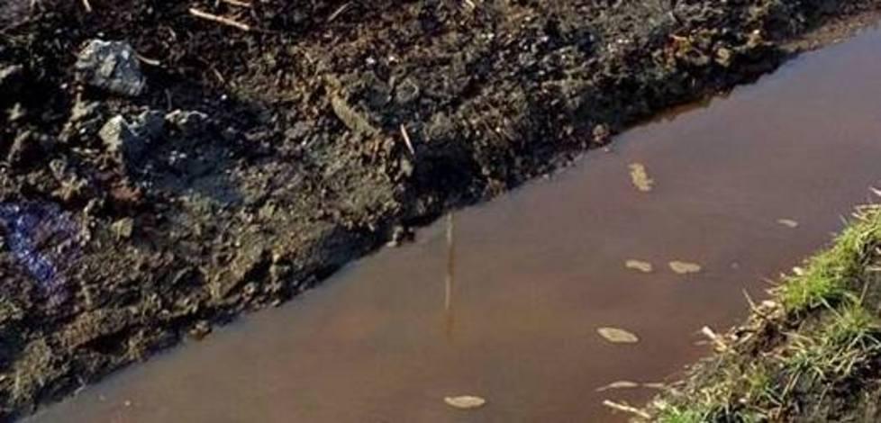 Morghen (M5S) inciampa su Mezzano e fotografi
