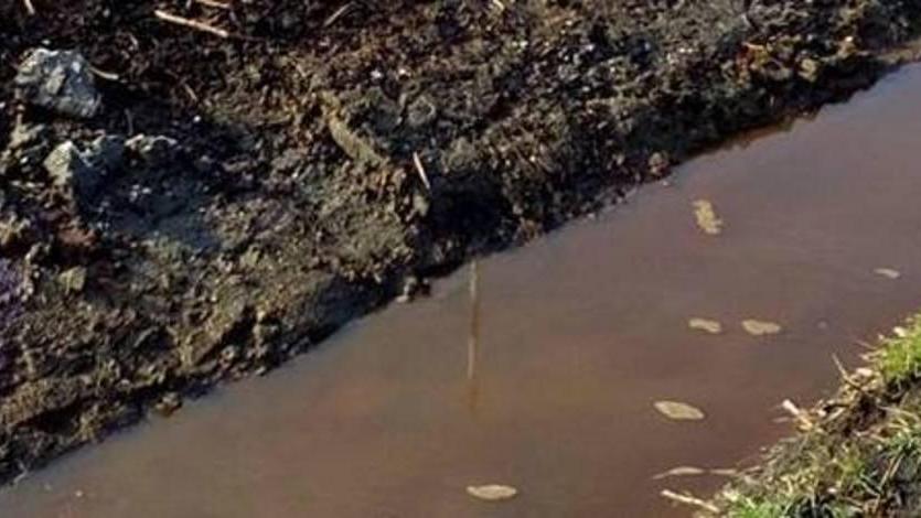 Morghen (M5S) inciampa su Mezzano e fotografi