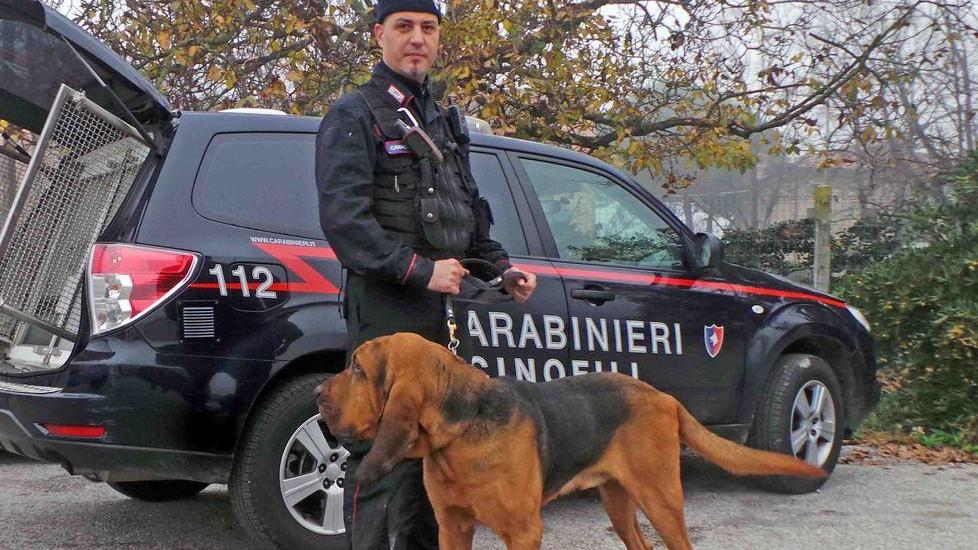 Una traccia vicino a un canale