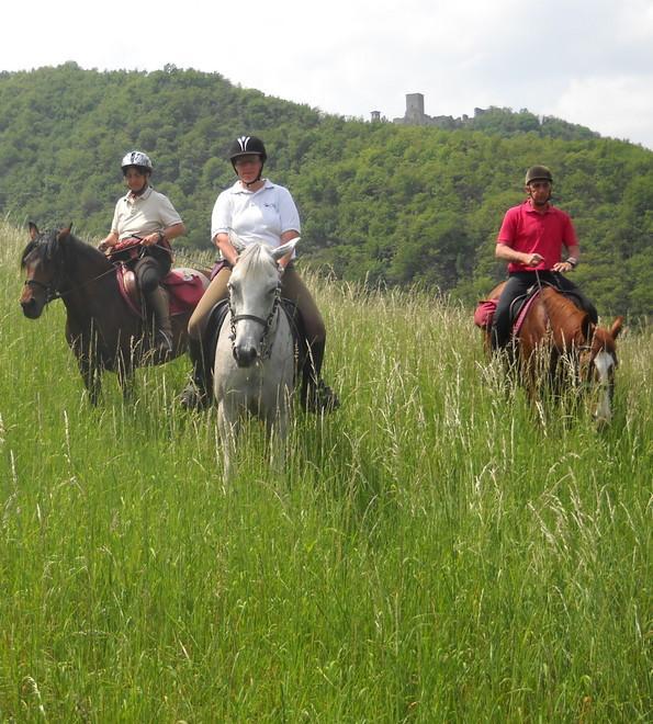 Da Polinago un trekking a cavallo sulle tracce di Matilde di Canossa 
