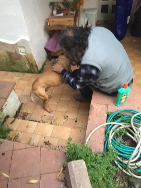 Tyson col suo padrone