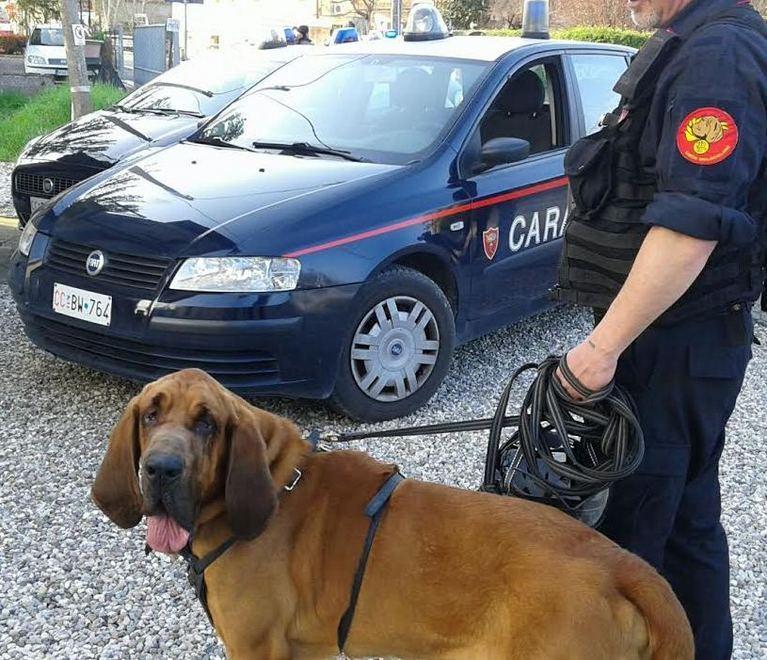 E’ stato trovato il 39enne di Pieve che era scomparso