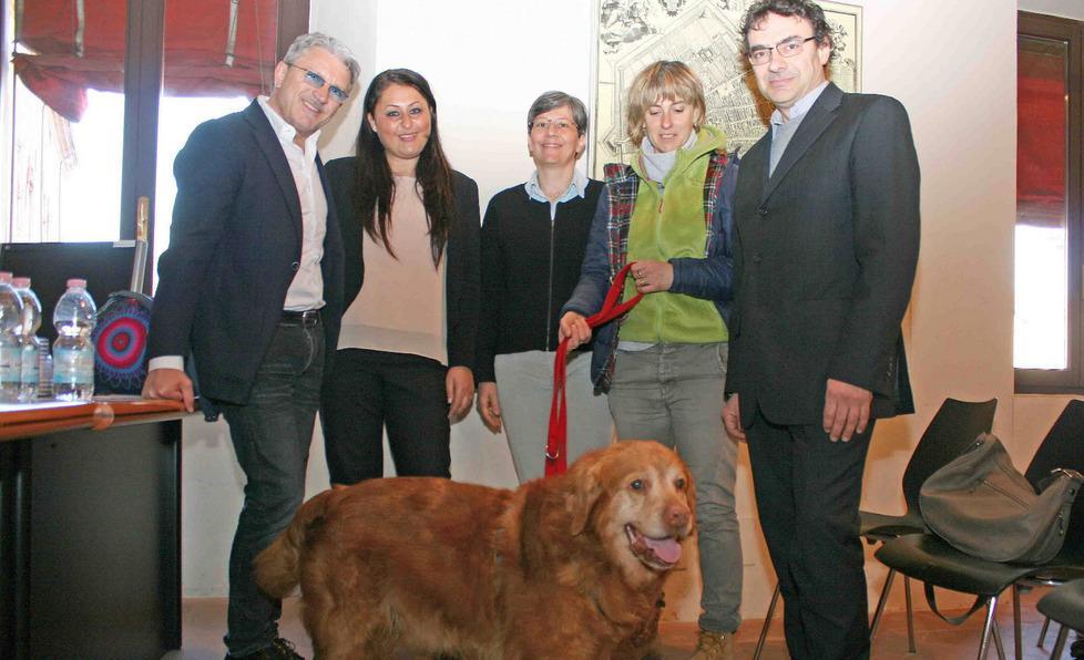 Una piccola arca per salvare i cani in cerca di adozione 