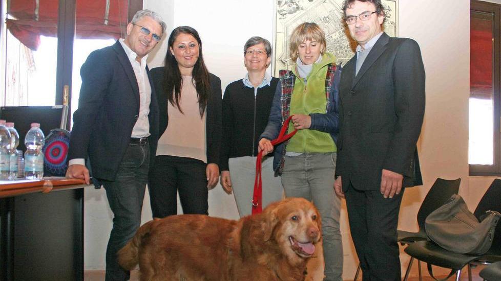 Una piccola arca per salvare i cani in cerca di adozione
