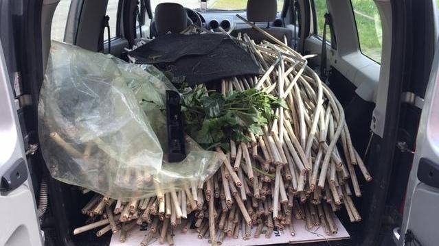 I predoni razziano mezzo quintale di rame