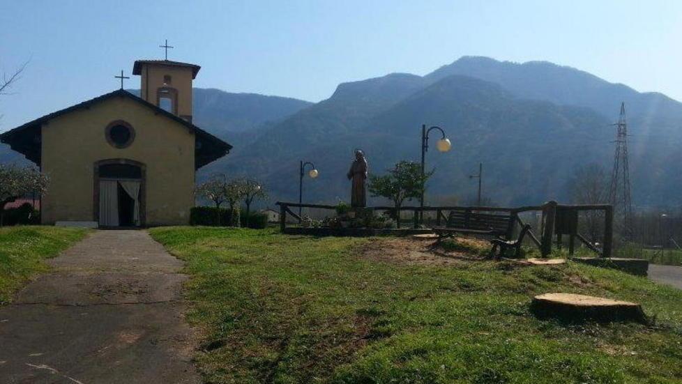 Mologno, giù tre cedri alla chiesa. Rfi: pericolosi per la ferrovia 