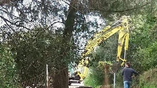 Parcheggi per le spiagge «È iniziata la corsa all’oro»