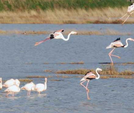 Weekend di Pasqua dall’oasi ai parchi tra ecologia e sport