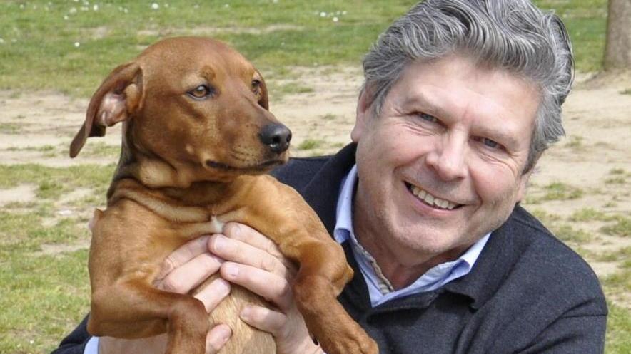 Polpette con gli spilli, cani a rischio a Rughi