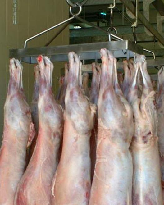 «Mangiate agnello sardo Igp» 