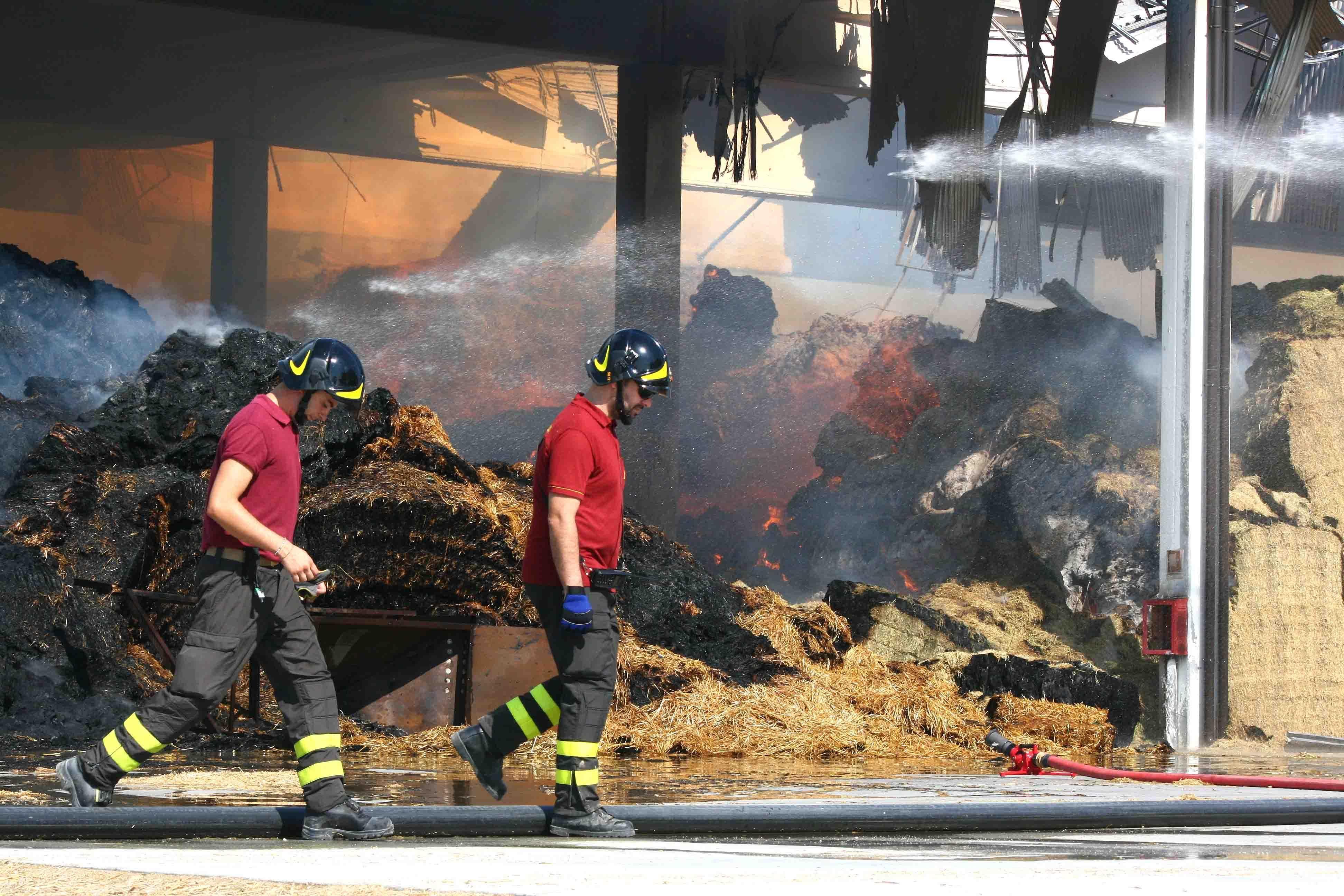 Vigili del fuoco al lavoro (foto archivio)