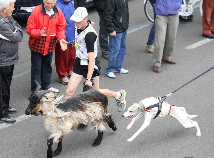 Sport, allegria e solidarietà a Pasquetta tutti di corsa 