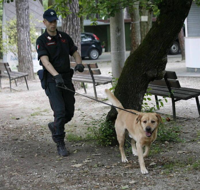 Troppe squillo in strada: l’assessore dc decise la chiusura del viale Capponi