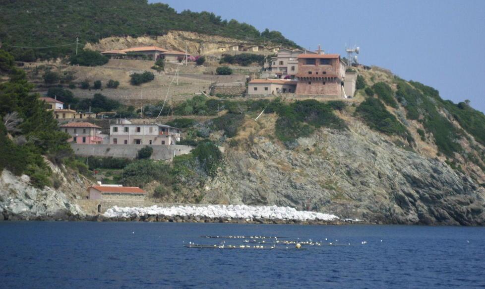Da Portoferraio la visita a Gorgona