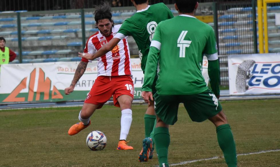 Grifone, ultima sosta prima del bivio Albalonga