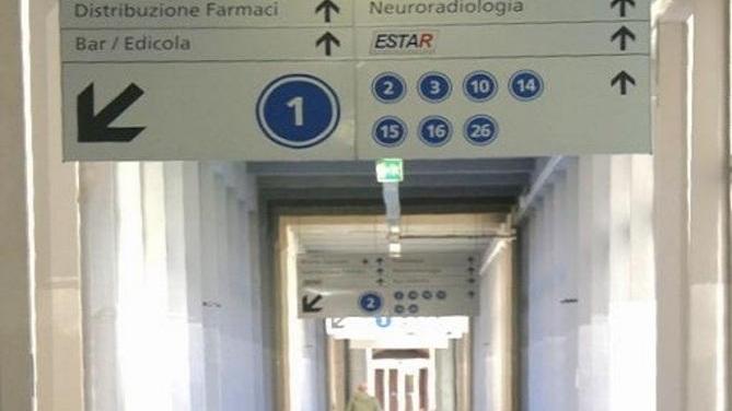 «Il nostro progetto in 3 mosse per rivoluzionare la sanità»