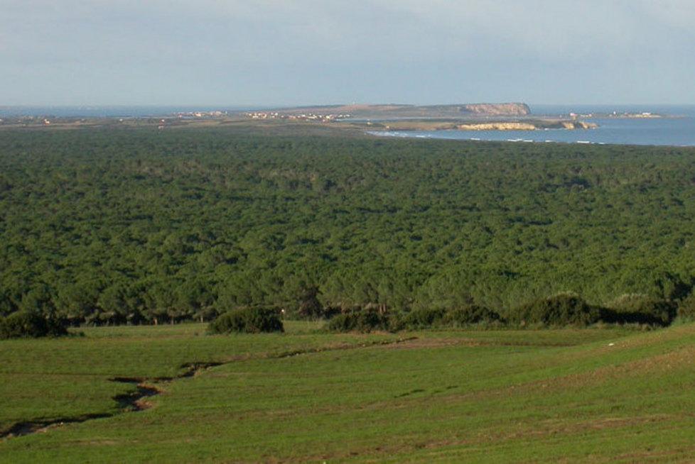 Piano abbattimenti, la Guardia Forestale contro la Provincia