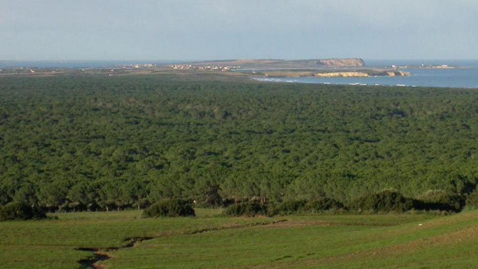 Piano abbattimenti, la Guardia Forestale contro la Provincia