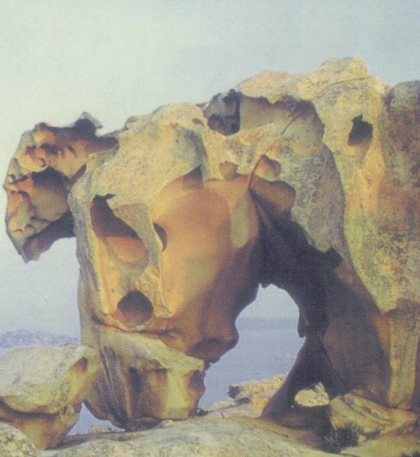 Visite guidate a Monte Altura e anche alla Roccia dell’orso